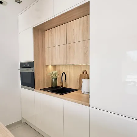 Magic Place Iii - Francuska Park - Free Garage - Self Check-in Apartmán Katovice