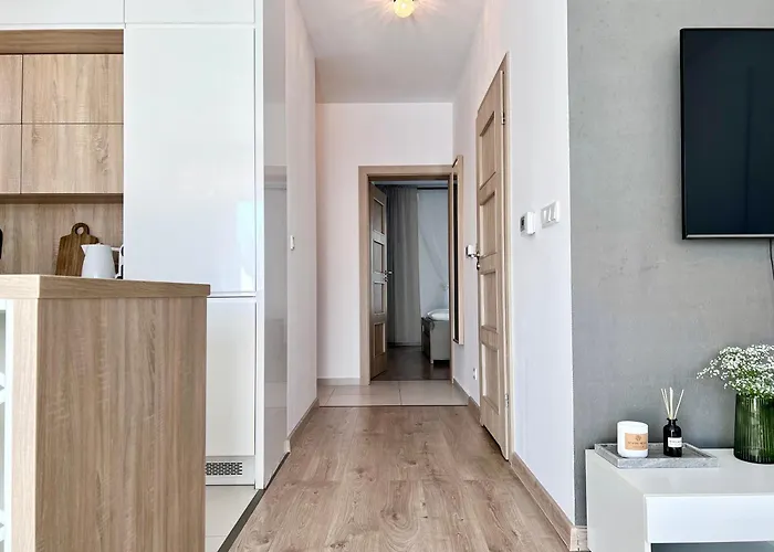 Magic Place Iii - Francuska Park - Free Garage - Self Check-in * كاتوفيتسه