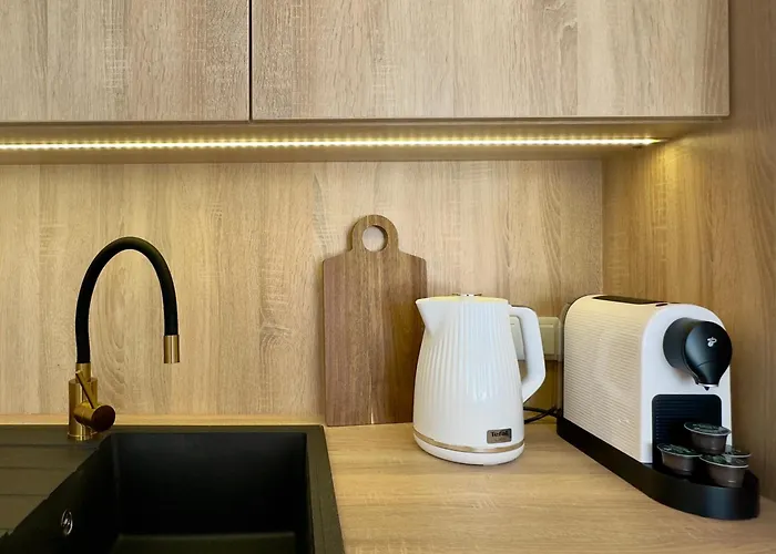 Magic Place Iii - Francuska Park - Free Garage - Self Check-in كاتوفيتسه