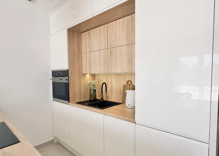 Magic Place Iii - Francuska Park - Free Garage - Self Check-in Apartamento Katowice